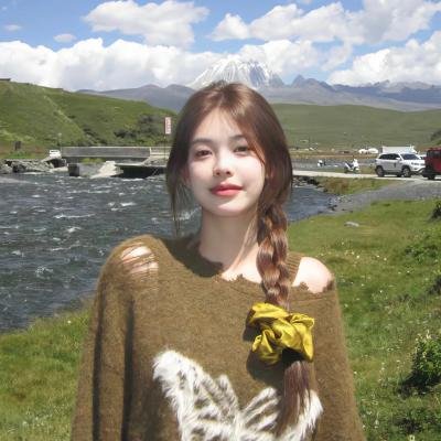 老处女日记 海报