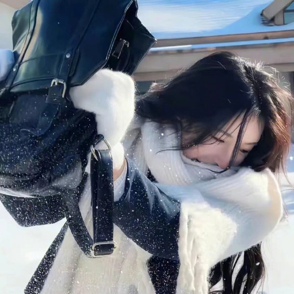 山狗 海报